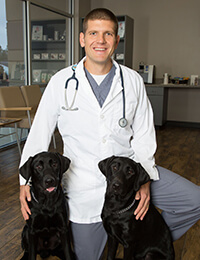 Dr. Donald R. Hay