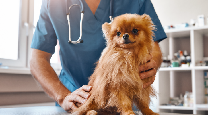 Health Screening Tests