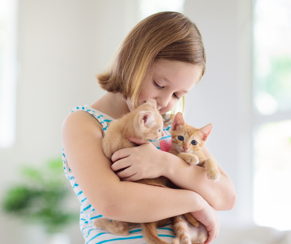 Back-to-School Changes: Helping Pets Adjust to New August Routines